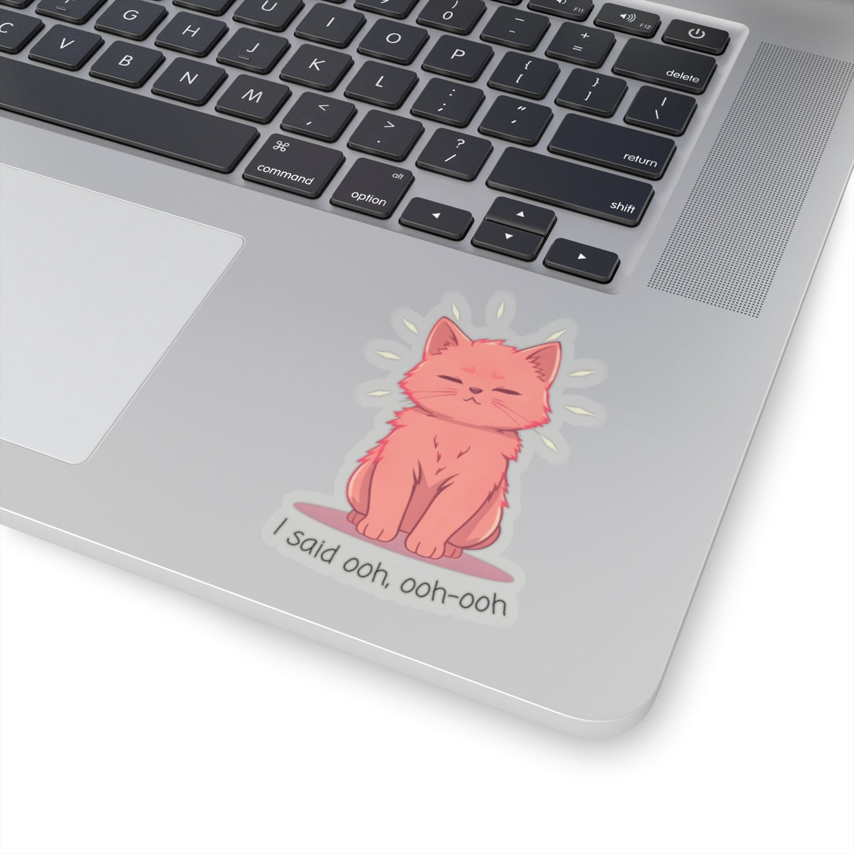 "I Said Ooh, Ooh-Ooh" Orange Cat Meme Sticker - Viral TikTok Trend Sticker